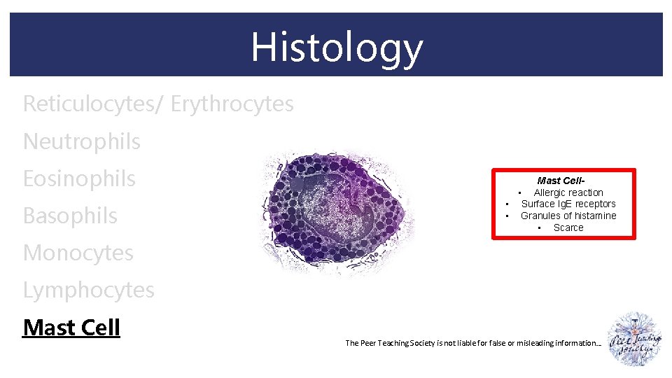 Histology Reticulocytes/ Erythrocytes Neutrophils Eosinophils Basophils Mast Cell • Allergic reaction • Surface Ig.