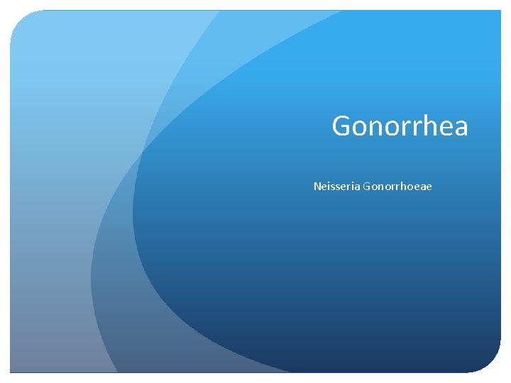 Gonorrhea Neisseria Gonorrhoeae 
