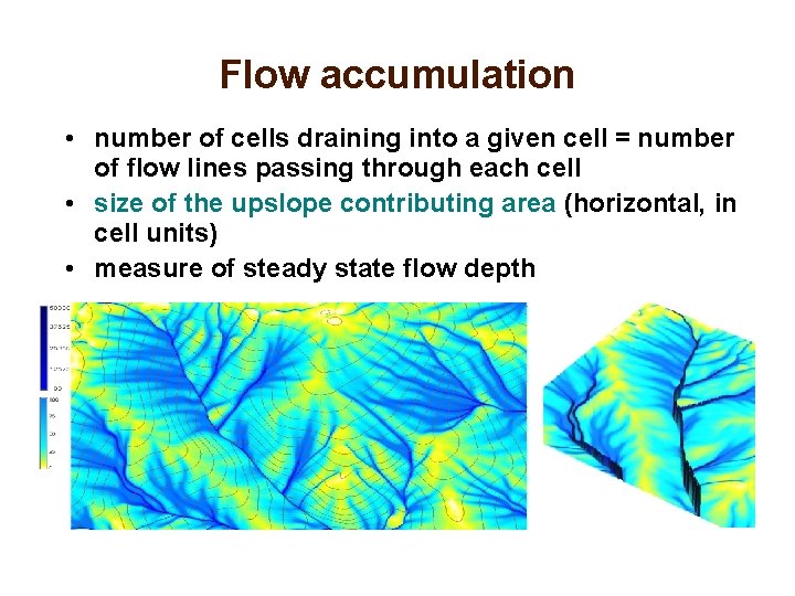 Flow accumulation • number of cells draining into a given cell = number of