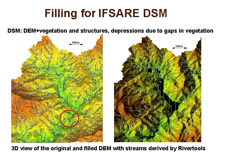 Filling for IFSARE DSM: DEM+vegetation and structures, depressions due to gaps in vegetation 3