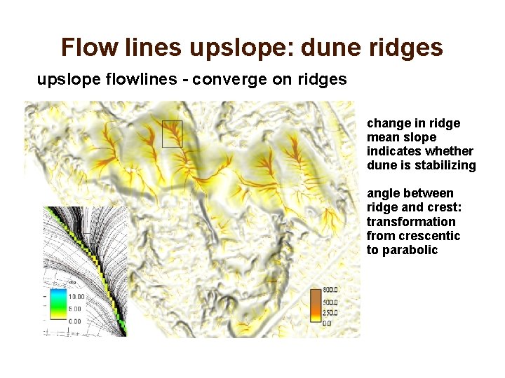 Flow lines upslope: dune ridges upslope flowlines - converge on ridges change in ridge