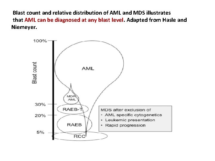 Blast count and relative distribution of AML and MDS illustrates that AML can be