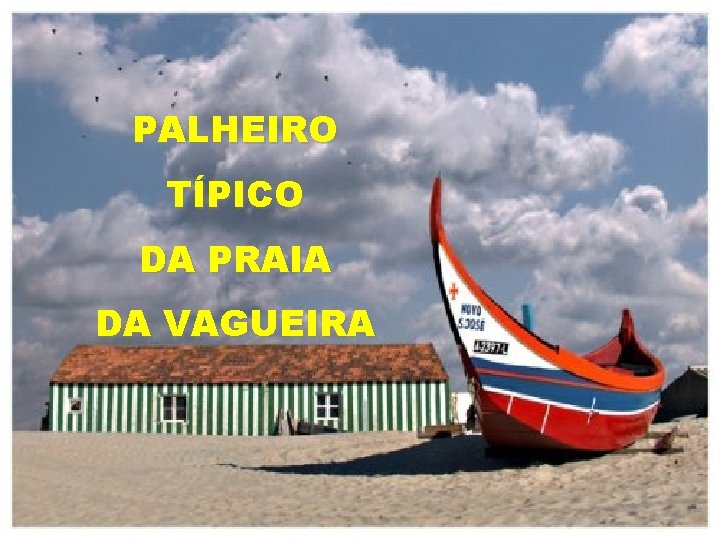 PALHEIRO TÍPICO DA PRAIA DA VAGUEIRA 