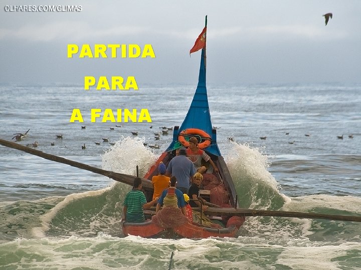 PARTIDA PARA A FAINA 