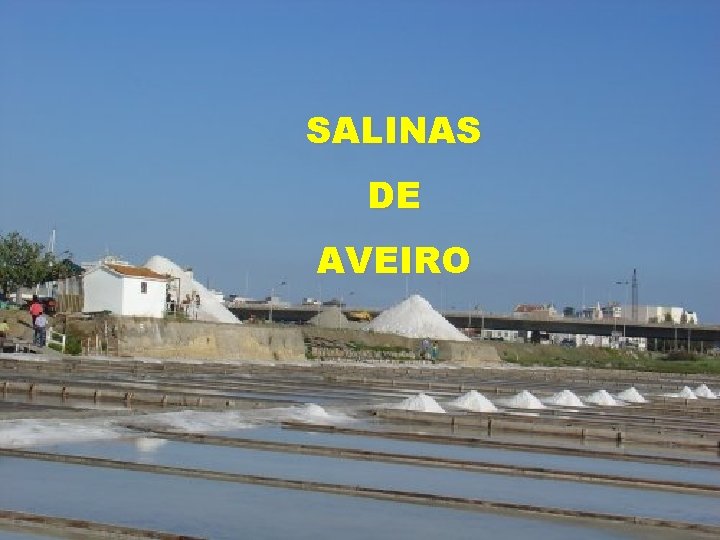 SALINAS DE AVEIRO 