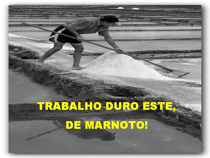TRABALHO DURO ESTE, DE MARNOTO! 