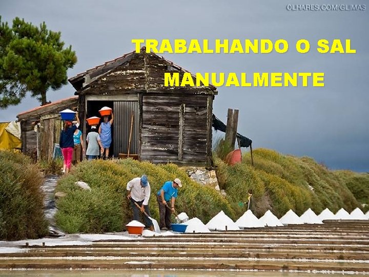 TRABALHANDO O SAL MANUALMENTE 