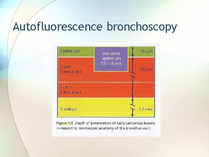 Autofluorescence bronchoscopy 