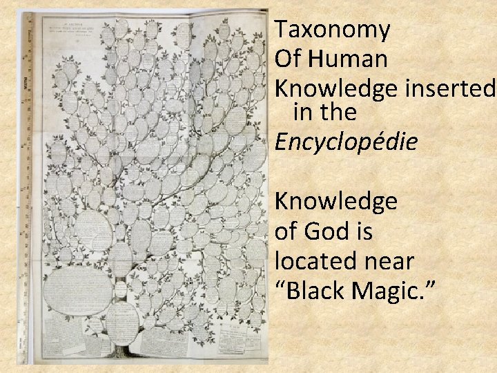 Taxonomy Of Human Knowledge inserted in the Encyclopédie Knowledge of God is located near