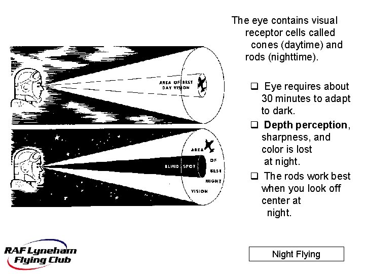 The eye contains visual receptor cells called cones (daytime) and rods (nighttime). q Eye