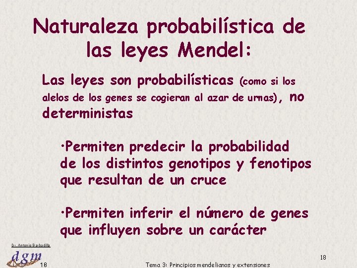 Naturaleza probabilística de las leyes Mendel: Las leyes son probabilísticas (como si los alelos Naturaleza probabilística de las leyes Mendel: Las leyes son probabilísticas (como si los alelos