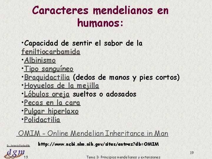 Caracteres mendelianos en humanos: • Capacidad de sentir el sabor de la feniltiocarbamida • Caracteres mendelianos en humanos: • Capacidad de sentir el sabor de la feniltiocarbamida •