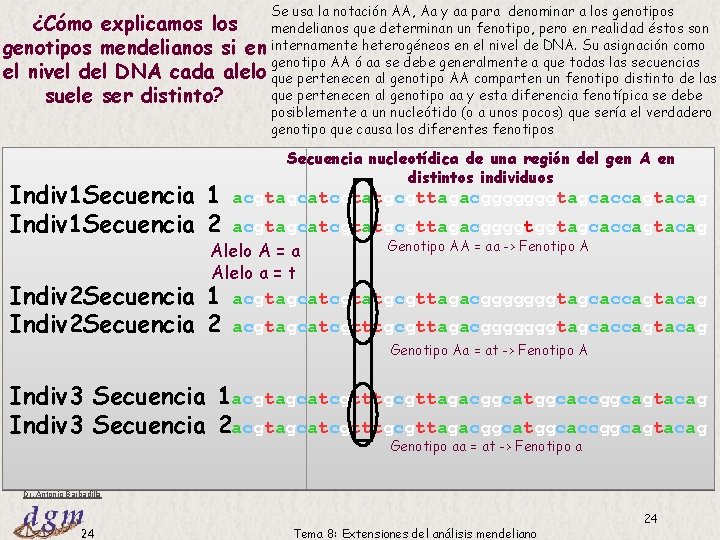 Se usa la notación AA, Aa y aa para denominar a los genotipos ¿Cómo Se usa la notación AA, Aa y aa para denominar a los genotipos ¿Cómo