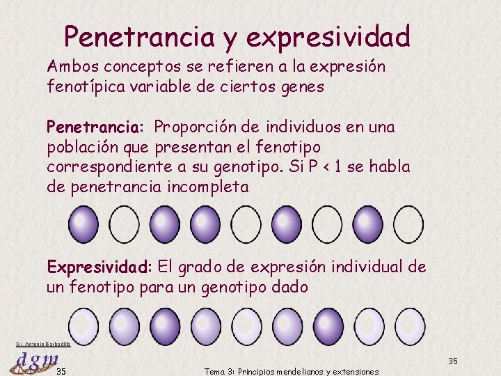 Penetrancia y expresividad Ambos conceptos se refieren a la expresión fenotípica variable de ciertos Penetrancia y expresividad Ambos conceptos se refieren a la expresión fenotípica variable de ciertos
