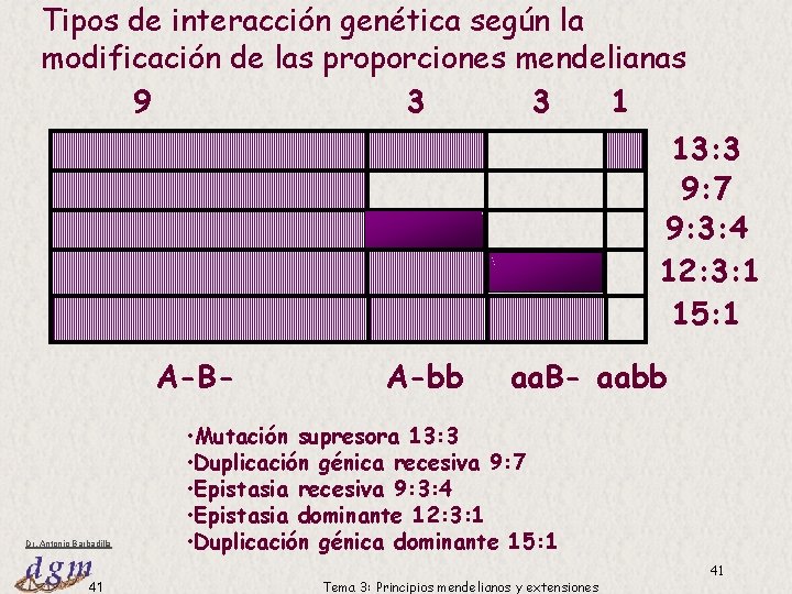 Tipos de interacción genética según la modificación de las proporciones mendelianas 9 3 3 Tipos de interacción genética según la modificación de las proporciones mendelianas 9 3 3