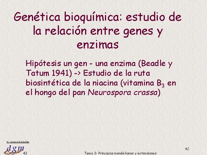 Genética bioquímica: estudio de la relación entre genes y enzimas Hipótesis un gen - Genética bioquímica: estudio de la relación entre genes y enzimas Hipótesis un gen -