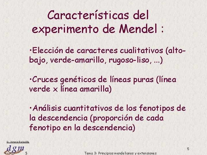 Características del experimento de Mendel : • Elección de caracteres cualitativos (altobajo, verde-amarillo, rugoso-liso, Características del experimento de Mendel : • Elección de caracteres cualitativos (altobajo, verde-amarillo, rugoso-liso,