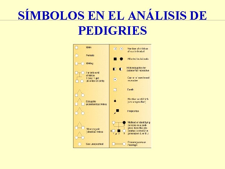 SÍMBOLOS EN EL ANÁLISIS DE PEDIGRIES SÍMBOLOS EN EL ANÁLISIS DE PEDIGRIES