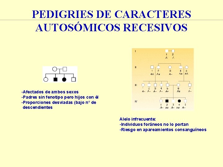 PEDIGRIES DE CARACTERES AUTOSÓMICOS RECESIVOS -Afectados de ambos sexos -Padres sin fenotipo pero hijos PEDIGRIES DE CARACTERES AUTOSÓMICOS RECESIVOS -Afectados de ambos sexos -Padres sin fenotipo pero hijos