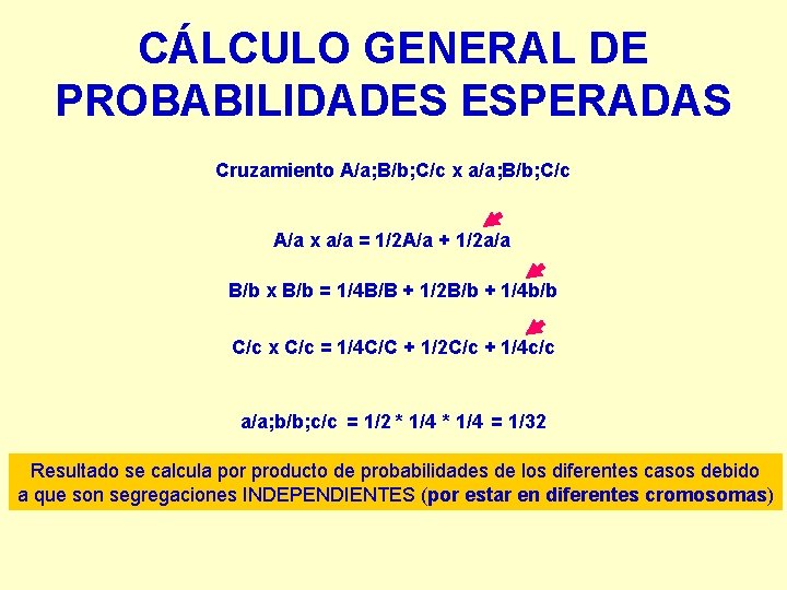 CÁLCULO GENERAL DE PROBABILIDADES ESPERADAS Cruzamiento A/a; B/b; C/c x a/a; B/b; C/c A/a CÁLCULO GENERAL DE PROBABILIDADES ESPERADAS Cruzamiento A/a; B/b; C/c x a/a; B/b; C/c A/a