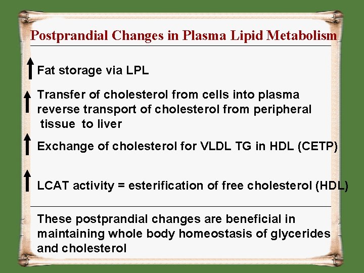 Postprandial Changes in Plasma Lipid Metabolism Fat storage via LPL Transfer of cholesterol from