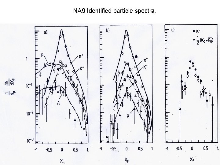 NA 9 Identified particle spectra. 