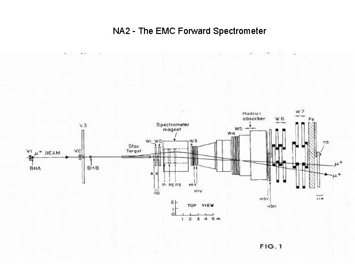 NA 2 - The EMC Forward Spectrometer 