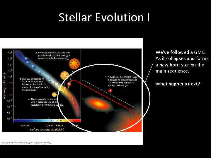 Stellar Evolution I We’ve followed a GMC As it collapses and forms a new