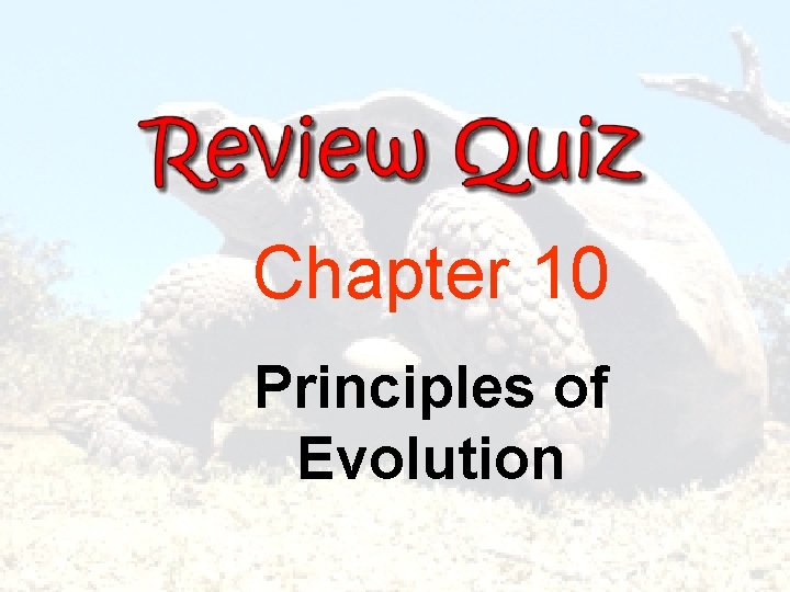 Chapter 10 Principles of Evolution 