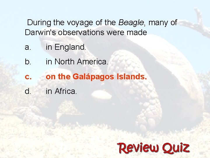  During the voyage of the Beagle, many of Darwin's observations were made a.
