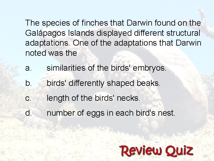  The species of finches that Darwin found on the Galápagos Islands displayed different
