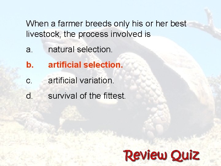  When a farmer breeds only his or her best livestock, the process involved
