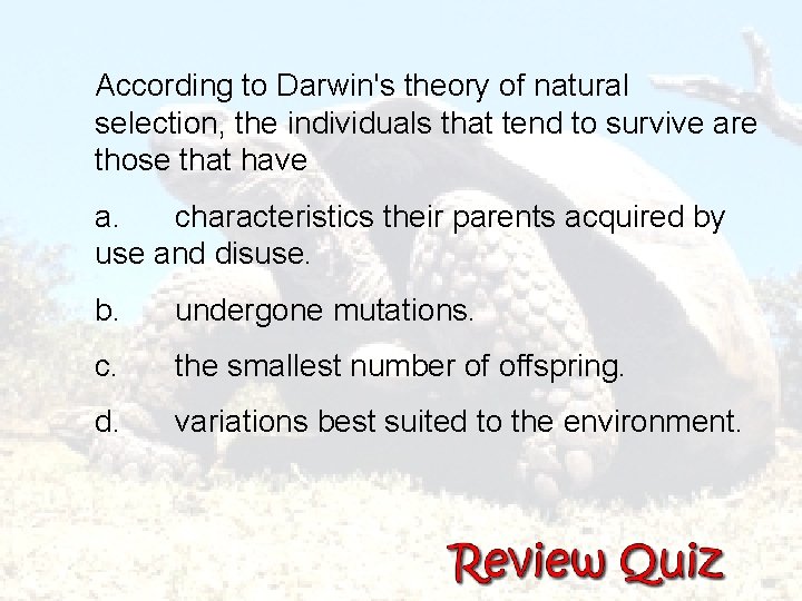  According to Darwin's theory of natural selection, the individuals that tend to survive
