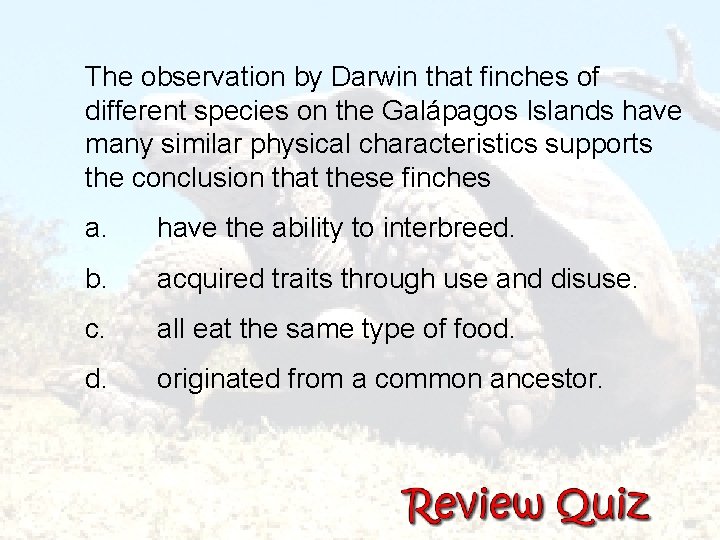  The observation by Darwin that finches of different species on the Galápagos Islands