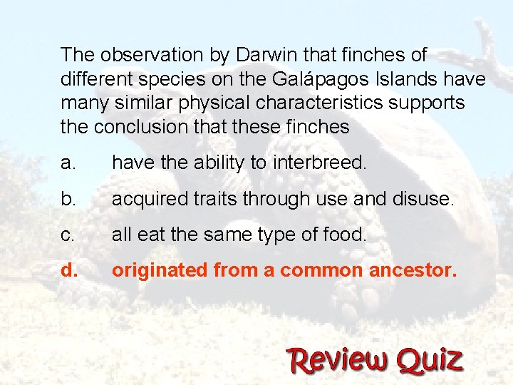  The observation by Darwin that finches of different species on the Galápagos Islands
