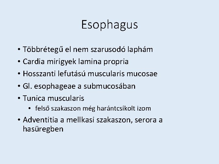 Esophagus • Többrétegű el nem szarusodó laphám • Cardia mirigyek lamina propria • Hosszanti