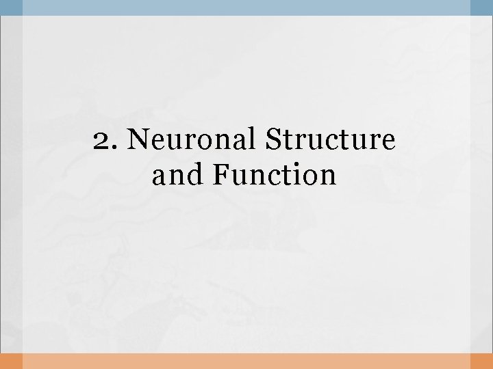 2. Neuronal Structure and Function 