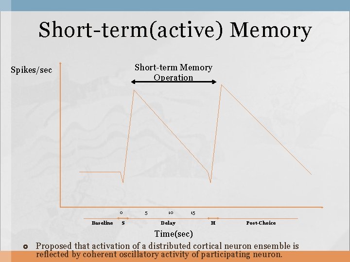 Short-term(active) Memory Short-term Memory Operation Spikes/sec 0 Baseline S 5 10 Delay 15 M