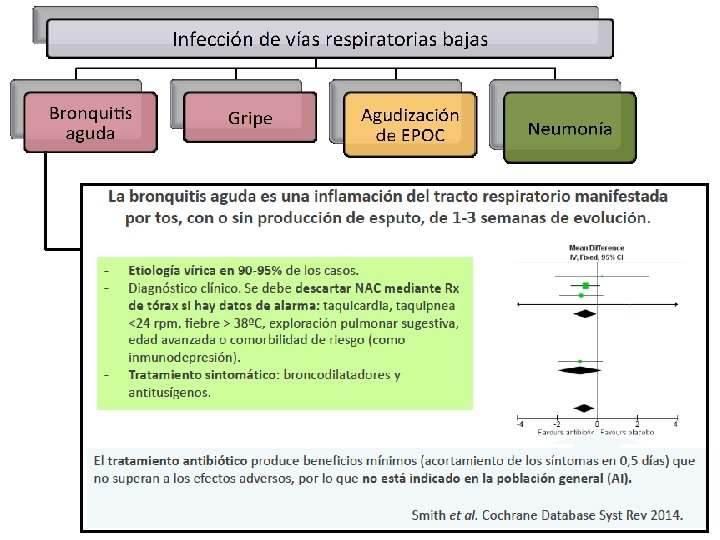 Woodhead Clin Microbiol. Infect 2011 