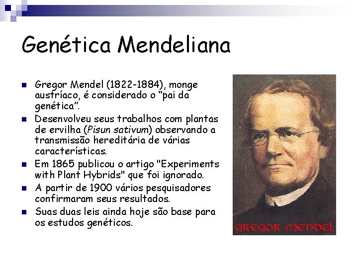 Genética Mendeliana n n n Gregor Mendel (1822 -1884), monge austríaco, é considerado o