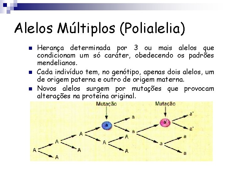 Alelos Múltiplos (Polialelia) n n n Herança determinada por 3 ou mais alelos que