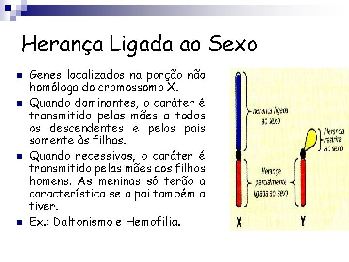 Herança Ligada ao Sexo n n Genes localizados na porção não homóloga do cromossomo