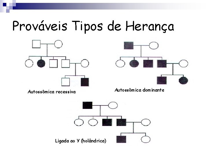 Prováveis Tipos de Herança Autossômica recessiva Ligada ao Y (holândrica) Autossômica dominante 