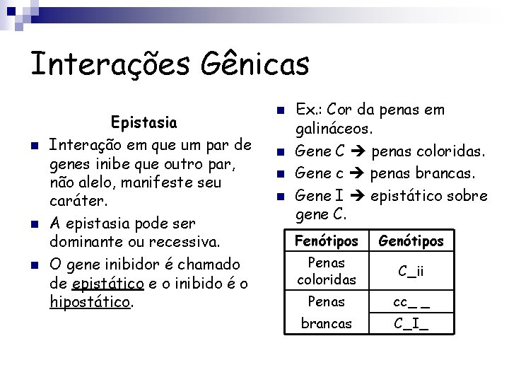 Interações Gênicas n n n Epistasia Interação em que um par de genes inibe