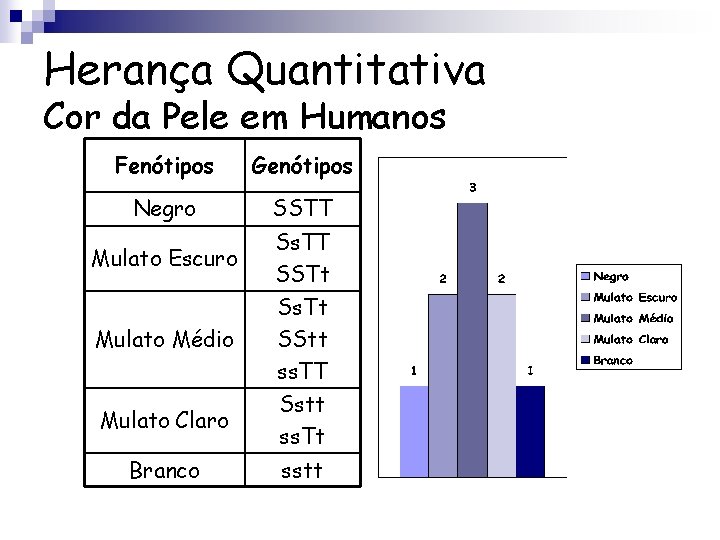 Herança Quantitativa Cor da Pele em Humanos Fenótipos Genótipos Negro SSTT Mulato Escuro Ss.