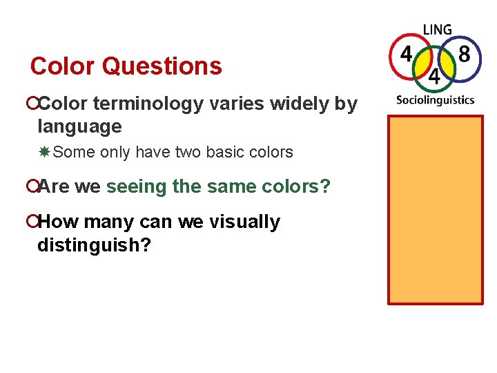 Colors Numbers and Language Class 11 B Puzzle