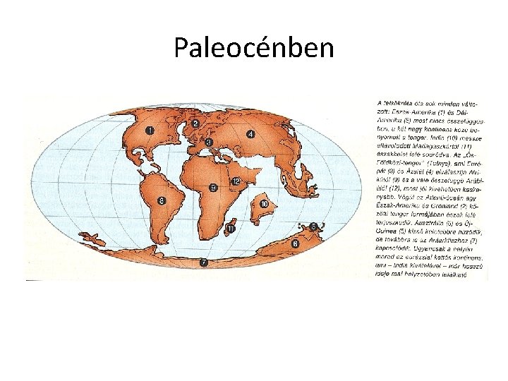 Paleocénben 
