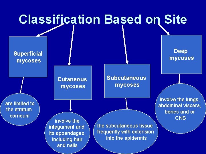 Classification Based on Site Deep mycoses Superficial mycoses Cutaneous mycoses are limited to the