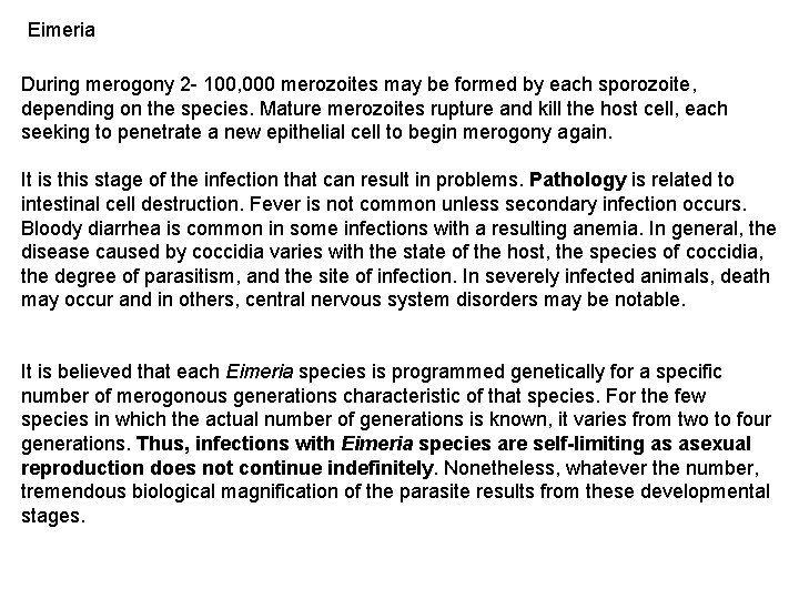 Eimeria During merogony 2 - 100, 000 merozoites may be formed by each sporozoite,