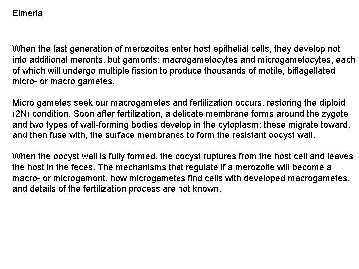 Eimeria When the last generation of merozoites enter host epithelial cells, they develop not